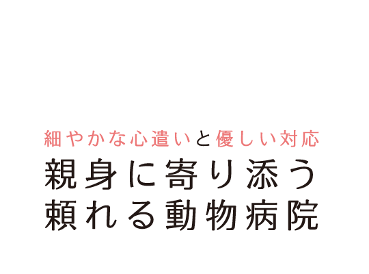 親身に寄り添う頼れる動物病院